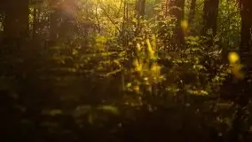 Kolejny raz magia zachodu słońca, okolice jez. Jagodne - zdjęcie 17