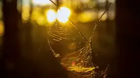 Kolejny raz magia zachodu słońca, okolice jez. Jagodne - zdjęcie 19