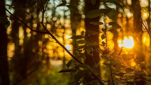 Kolejny raz magia zachodu słońca, okolice jez. Jagodne - zdjęcie 6