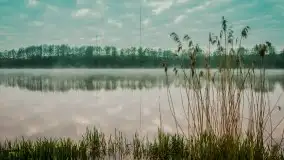 Miłośnicy Mazur - majowe Mazury na zdjęciach Staszka Sielewicza - zdjęcie 9