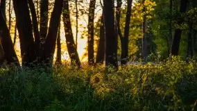 Majowy zachód słońca nad jeziorem Dargin - zdjęcie 6