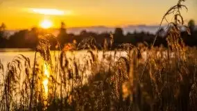 Zachód słońca w okolicy Kut i jeziora Czarna Kuta - zdjęcie 30