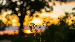 Zachód słońca w okolicy Kut i jeziora Czarna Kuta - zdjęcie 41