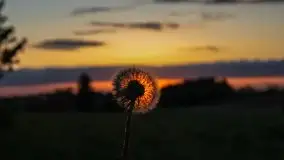 Zachód słońca w okolicy Kut i jeziora Czarna Kuta - zdjęcie 33