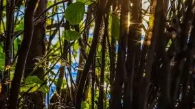 Wieczór nad Niegocinem i Grajewkiem - zdjęcie 33