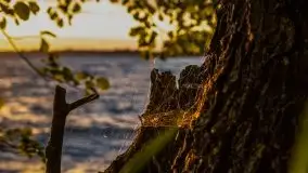 Wieczór nad Niegocinem i Grajewkiem - zdjęcie 39