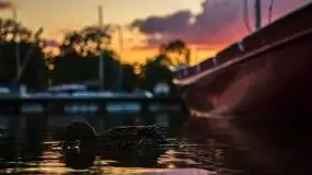 Magiczny, czerwcowy zachód słońca w Sztynorcie - zdjęcie 34