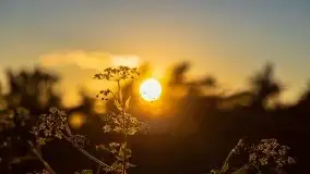 Wieczorne słońce nad jeziorem Święcajty - zdjęcie 3