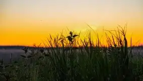 Wieczorne słońce nad jeziorem Święcajty - zdjęcie 37