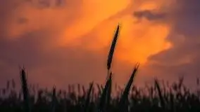 Zachód słońca w okolicach miejscowości Miłki - zdjęcie 14