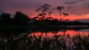 Zachód słońca w okolicach miejscowości Miłki - zdjęcie 20