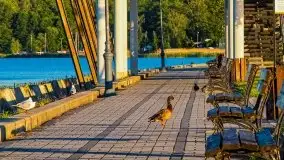 Wschód słońca w Giżycku, jezioro Niegocin - zdjęcie 77