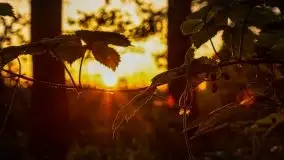 Zachód słońca Pierkunowski Róg - zdjęcie 33