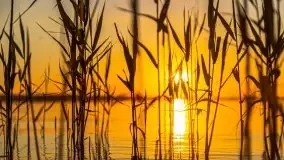 Niegocin migoczący w zachodzącym słońcu - zdjęcie 7