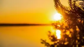 Niegocin migoczący w zachodzącym słońcu - zdjęcie 19