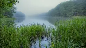 Mazurski poranek we mgle - zdjęcie 6