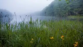 Mazurski poranek we mgle - zdjęcie 7