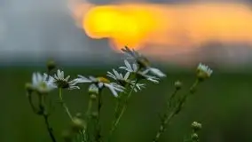 Zachód słońca w okolicach Upałt Małych - zdjęcie 23