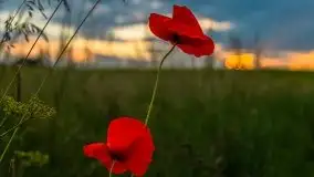 Zachód słońca w okolicach Upałt Małych - zdjęcie 16