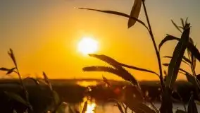 Zachód słońca, Skłodowo i jezioro Mamry - zdjęcie 33