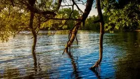 Czerwcowe Mazury na zdjęciach Stanisława Sielewicza - zdjęcie 12