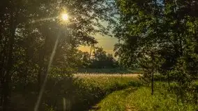 Zachód słońca nad jeziorem Gawlik - zdjęcie 15