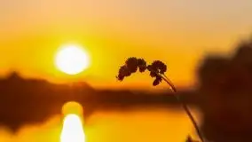 Zachód słońca nad jeziorem Gawlik - zdjęcie 10