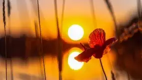 Zachód słońca nad jeziorem Gawlik - zdjęcie 42