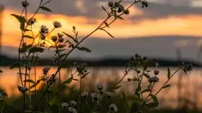 Zachód słońca nad jeziorem Kisajno - zdjęcie 12