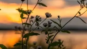 Zachód słońca nad jeziorem Kisajno - zdjęcie 51