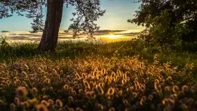 Zachód słońca, plaża Bogacko, jezioro Dejguny - zdjęcie 12