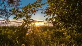 Zachód słońca, plaża Bogacko, jezioro Dejguny - zdjęcie 24