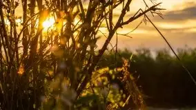 Zachód słońca, plaża Bogacko, jezioro Dejguny - zdjęcie 34