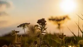 Zachód Słońca nad kanałem Jeglińskim - zdjęcie 9