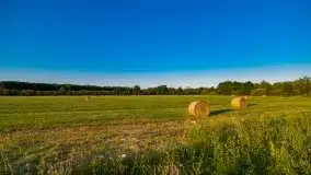 Zachód Słońca nad kanałem Jeglińskim - zdjęcie 5