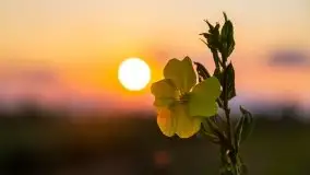 Zachód Słońca nad kanałem Jeglińskim - zdjęcie 50