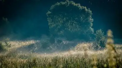 Miłośnicy Mazur - fotografie Stanisława Sielewicza