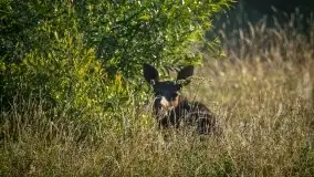 Miłośnicy Mazur - fotografie Stanisława Sielewicza - zdjęcie 15