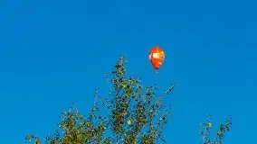 Balony nad Ełkiem 2020 - zdjęcie 17