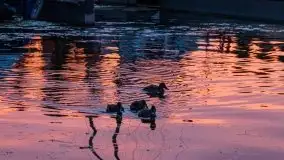 Wschód słońca w Stanicy Wodnej Stranda - zdjęcie 9