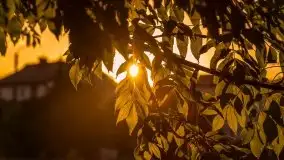 Zachody słońca na Mazurach, lipiec 2020 - zdjęcie 20