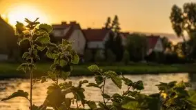 Zachody słońca na Mazurach, lipiec 2020 - zdjęcie 11