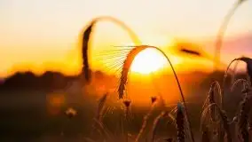 Zachód słońca w Wilkaskach - zdjęcie 17