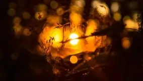 Zachód słońca nad jeziorami Dargin i Skarż Wielki - zdjęcie 25