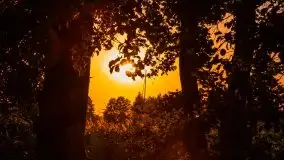 Jezioro Ryńskie, Zatoka Mrówcza - zdjęcie 17