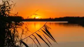 Zachód słońca, jezioro Tajty, sierpień 2020 - zdjęcie 40