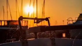 Wschód Słońca, Wilkasy, jezioro Niegocin, sierpień 2020 r. - zdjęcie 54