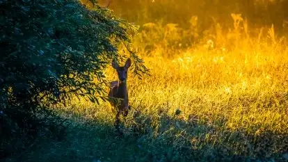 Piękno letnich, sierpniowych Mazur