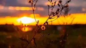 Zachód Słońca przy miejscowości Sterławki, sierpień 2020 r. - zdjęcie 2