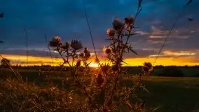 Zachód Słońca przy miejscowości Sterławki, sierpień 2020 r. - zdjęcie 14